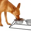 Frisco Pyramid Elevated Dog & Cat Diner -The Frisco Store 159883 MAIN. SY630 V1583424780