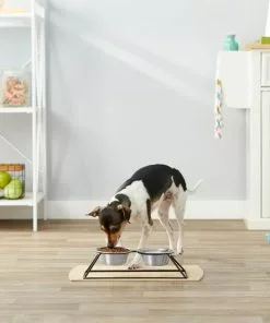 Frisco Pyramid Elevated Dog & Cat Diner -The Frisco Store 159883 PT3. SY630 V1561123335