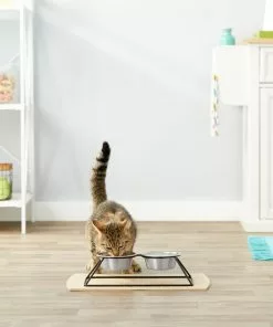 Frisco Pyramid Elevated Dog & Cat Diner -The Frisco Store 159883 PT4. SY630 V1561123329