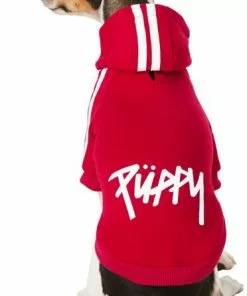 Frisco Püppy Dog & Cat Athletic Hoodie -The Frisco Store 160339 PT2. SY630 V1637651502