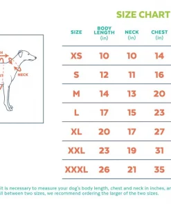 Frisco Püppy Dog & Cat Athletic Tracksuit -The Frisco Store 160361 PT1. SY630 V1599016568