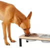 Frisco Wooden Elevated Dog & Cat Diner -The Frisco Store 161144 MAIN. SY630 V1578432855