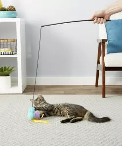 Frisco Bird Teaser with Feathers Cat Toy -The Frisco Store 161199 PT2. SY630 V1568910139