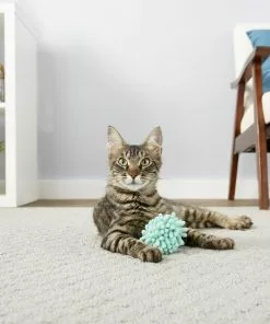 Frisco Moppy Ball Cat Toy -The Frisco Store 161280 PT1. SY630 V1568909977