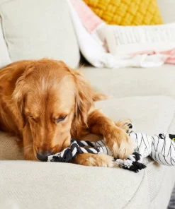 Frisco Mummy Plush with Rope Squeaky Dog Toy -The Frisco Store 161354 PT6. SY630 V1597599395