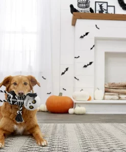Frisco Halloween Skeleton Plush with Rope Squeaky Dog Toy -The Frisco Store 161358 PT2. SY630 V1563230245