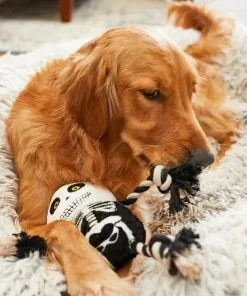 Frisco Halloween Skeleton Plush with Rope Squeaky Dog Toy -The Frisco Store 161358 PT6. SY630 V1597599370