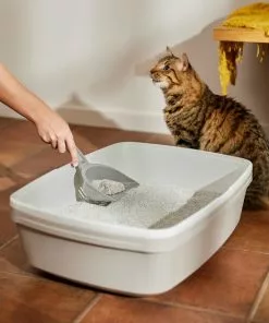 Frisco Odor Defense Lavender Fields Scented Clumping Clay Cat Litter -The Frisco Store 161463 PT4. SY630 V1659023572