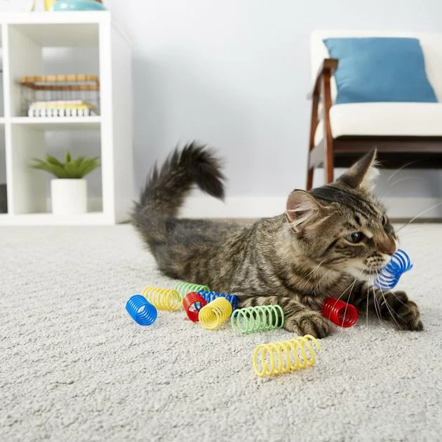 Frisco Colorful Springs Cat Toy 5 Frisco Colorful Springs Cat Toy - Image 3