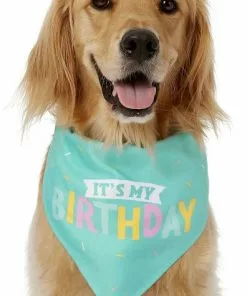 Frisco Dog & Cat Birthday Bandana -The Frisco Store 162803 PT2. SY630 V1633086083