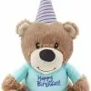Frisco Plush Birthday Bear with Striped Hat Dog Toy -The Frisco Store 162836 Main. SY630 V1565379440