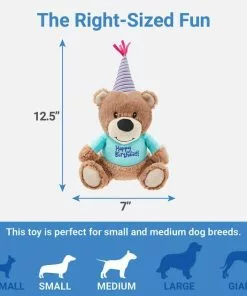 Frisco Plush Birthday Bear with Striped Hat Dog Toy -The Frisco Store 162836 PT1. SY630 V1568207218