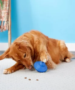 Frisco Rubber Flying Saucer Treat Dispenser Dog Toy -The Frisco Store 164757 PT4. SY630 V1604676731