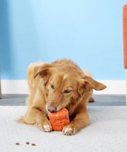 Frisco Halloween Pumpkin Rubber Treat Dispenser Dog Toy 10 Frisco Halloween Pumpkin Rubber Treat Dispenser Dog Toy -The Frisco Store 164763 PT4. SY630 V1563808928