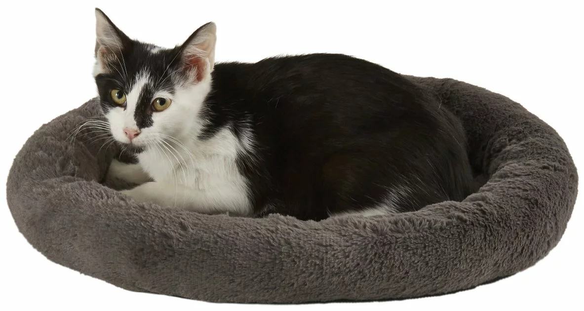 Frisco Self Warming Bolster Round Cat Bed 5 Frisco Self Warming Bolster Round Cat Bed - Image 3