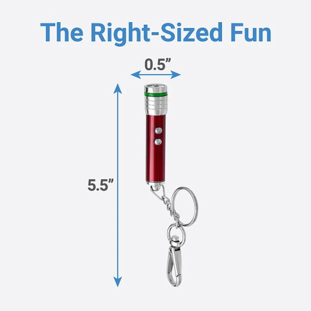 Frisco 2-in-1 Laser & LED Light Cat Toy 4 Frisco 2-in-1 Laser & LED Light Cat Toy - Image 2