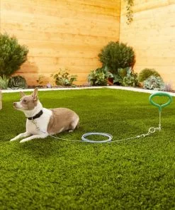 Frisco Tie Out Cable, Small -The Frisco Store 166379 PT2. SY630 V1576680480