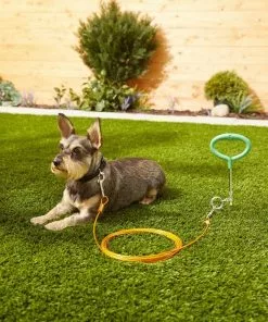 Frisco Tie Out Cable, Medium -The Frisco Store 166388 PT2. SY630 V1573676628