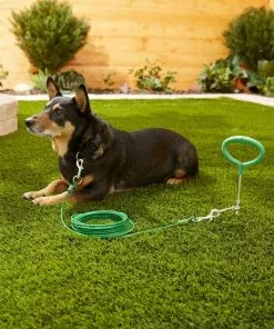 Frisco Tie Out Cable, Large -The Frisco Store 166430 PT2. SY630 V1576680485