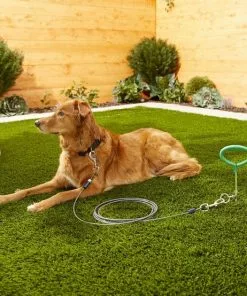 Frisco Tie Out Cable, X-Large -The Frisco Store 166437 PT2. SY630 V1573676280