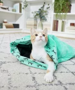 Frisco Kitty Play Sack Cat Toy, Teal -The Frisco Store 166486 PT4. SY630 V1573664900