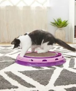 Frisco Scratch & Roll Scratcher Cat Toy with Catnip -The Frisco Store 166516 PT3. SY630 V1573664911