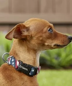 Frisco American Flag Polyester Dog Collar -The Frisco Store 172487 PT2. SY630 V1629152228