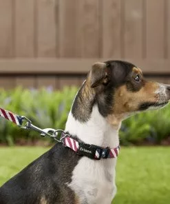 Frisco American Flag Polyester Dog Leash -The Frisco Store 172492 PT1. SY630 V1563290593