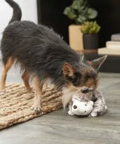 Frisco Plush Squeaking Hedgehog Dog Toy 7 Frisco Plush Squeaking Hedgehog Dog Toy -The Frisco Store 174677 PT2. SY630 V1574271550