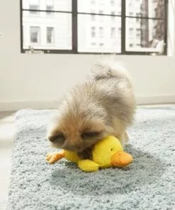 Frisco Plush Squeaky Duck Dog Toy 7 Frisco Plush Squeaky Duck Dog Toy -The Frisco Store 174684 PT2. SY630 V1573492408
