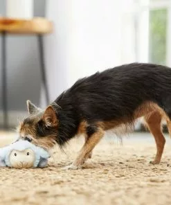 Frisco Plush Squeaking Lamb Dog Toy -The Frisco Store 174686 PT2. SY630 V1573597393