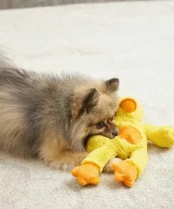 Frisco Plush with Inside Rope Squeaking Duck Dog Toy -The Frisco Store 174723 PT2. SY630 V1573492709