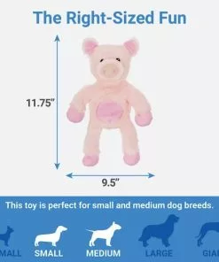 Frisco Plush with Inside Rope Squeaking Pig Dog Toy -The Frisco Store 174725 PT1. SY630 V1574719142