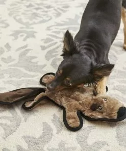 Frisco Flat Plush Squeaking Beaver Dog Toy -The Frisco Store 174729 PT2. SY630 V1573492725