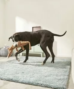 Frisco Wagazoo Plush Squeaking Giraffe Dog Toy -The Frisco Store 174745 PT2. SY630 V1573492749