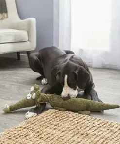 Frisco Wagazoo Plush Squeaking Triceratops Dog Toy 7 Frisco Wagazoo Plush Squeaking Triceratops Dog Toy -The Frisco Store 174747 PT2. SY630 V1573492752