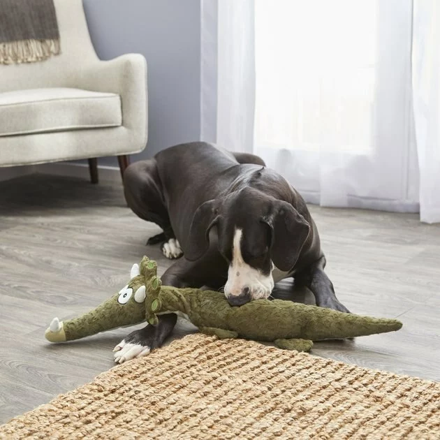 Frisco Wagazoo Plush Squeaking Triceratops Dog Toy 5 Frisco Wagazoo Plush Squeaking Triceratops Dog Toy - Image 3