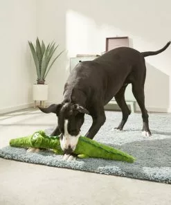 Frisco Wagazoo Plush Squeaking Alligator Dog Toy -The Frisco Store 174751 PT2. SY630 V1573492762
