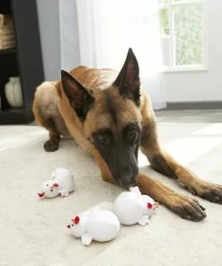 Frisco Hide & Seek Chicken Dog Toy Refills, 3-pack 7 Frisco Hide & Seek Chicken Dog Toy Refills, 3-pack -The Frisco Store 174764 PT2. SY630 V1574271542