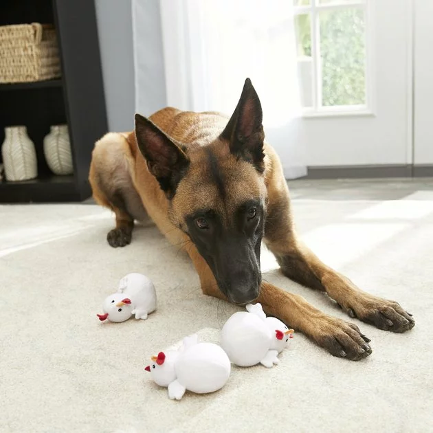 Frisco Hide & Seek Chicken Dog Toy Refills, 3-pack 5 Frisco Hide & Seek Chicken Dog Toy Refills, 3-pack - Image 3