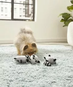 Frisco Hide & Seek Raccoon Dog Toy Refills, 3-pack 7 Frisco Hide & Seek Raccoon Dog Toy Refills, 3-pack -The Frisco Store 174766 PT2. SY630 V1573492789