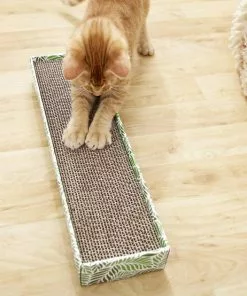 Frisco Single-Wide Cat Scratcher Toy with Catnip -The Frisco Store 174795 PT2. SY630 V1571760524
