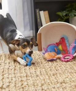 Frisco Aquatic Bundle Dog Toy, 6-Pack 5 Frisco Aquatic Bundle Dog Toy, 6-Pack -The Frisco Store 177822 PT2. SY630 V1573143787