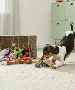 Frisco Rope, Plush, & TPR Bundle Dog Toy, 10-Pack -The Frisco Store 177846 PT2. SY630 V1573143782