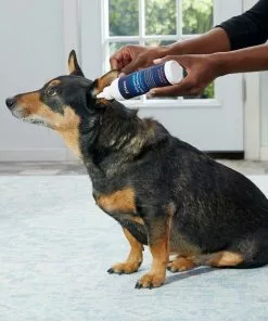 Frisco Advanced Dog, Cat & Horse Ear Cleanser, 8-oz bottle -The Frisco Store 178703 PT3. SY630 V1581460105
