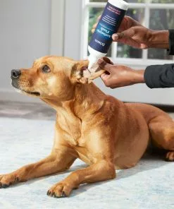 Frisco Antiseptic Dog, Cat & Horse Ear Flush Rinse -The Frisco Store 178705 PT3. SY630 V1582124328