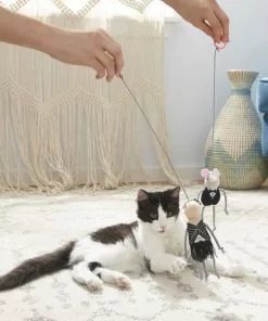 Frisco Dapper & Flapper Bouncy Mouse Cat Toy, 2 pack -The Frisco Store 183251 PT2. SY630 V1573748302