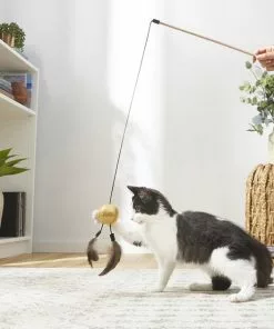 Frisco Sparkle Ball Glitter Teaser Cat Toy -The Frisco Store 183254 PT3. SY630 V1573748308