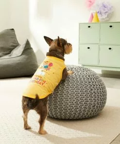 Frisco Llama-zing Birthday Dog & Cat T-Shirt 11 Frisco Llama-zing Birthday Dog & Cat T-Shirt -The Frisco Store 191240 PT4. SY630 V1582053521