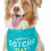 Frisco Happy Gotcha Day Dog & Cat Bandana -The Frisco Store 191247 MAIN. SY630 V1633084319